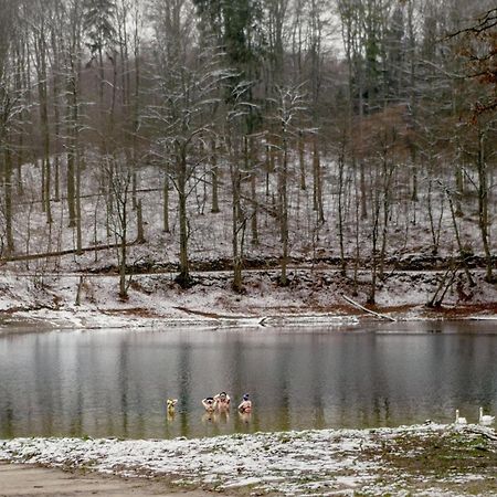 Bosko Domki Z Sauna I Balia W Sulminie Obok Gdanska Luaran gambar